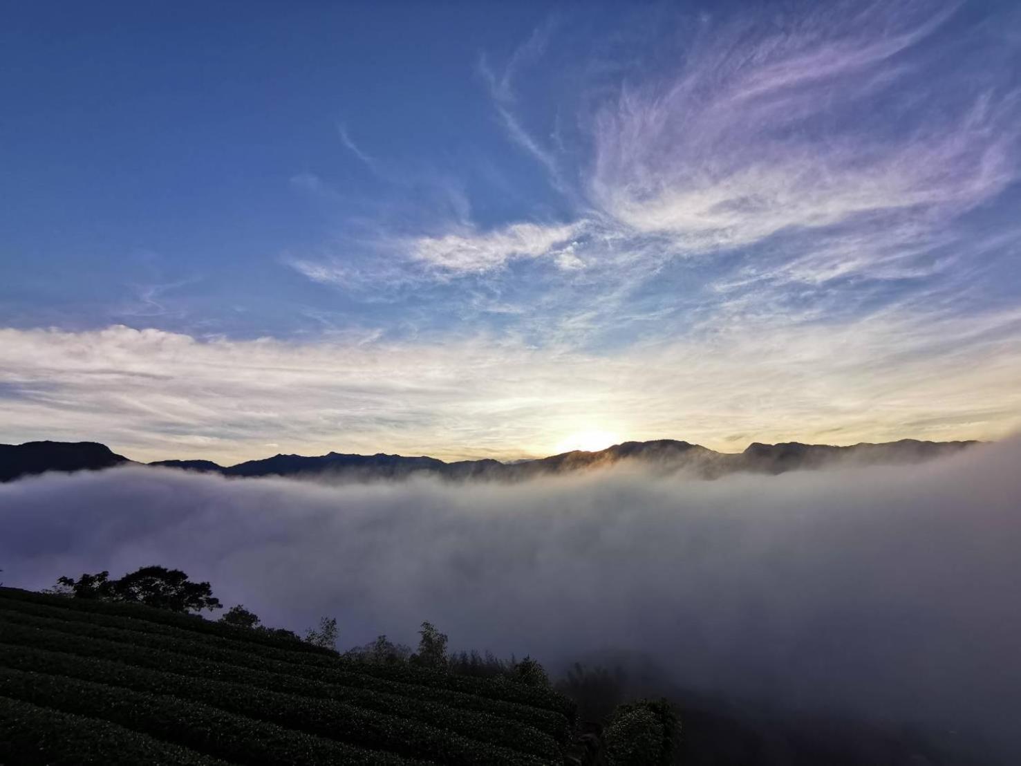 Alishan Tea Garden B&B Fenchihu Buitenkant foto